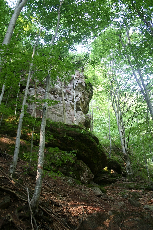 Bulgaria 2008 137